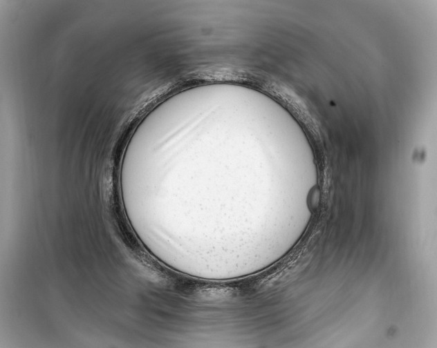 X0000099320202200805231432