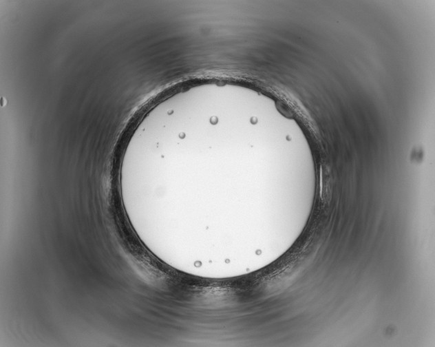 X0000099320204200805231432