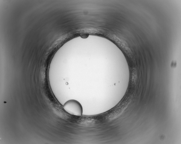 X0000099320206200805231432