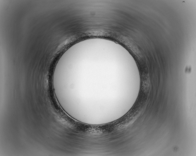 X0000099320207200805231432