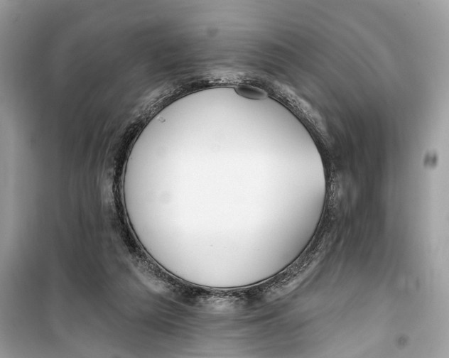 X0000099320209200805231432