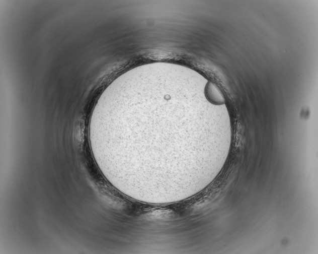 X0000099320210200805231432