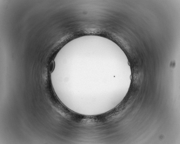 X0000099320211200805231432