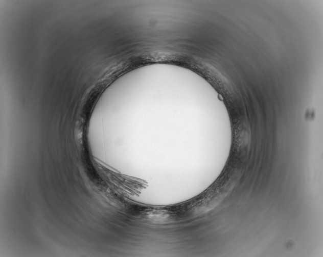 X0000099320214200805231432