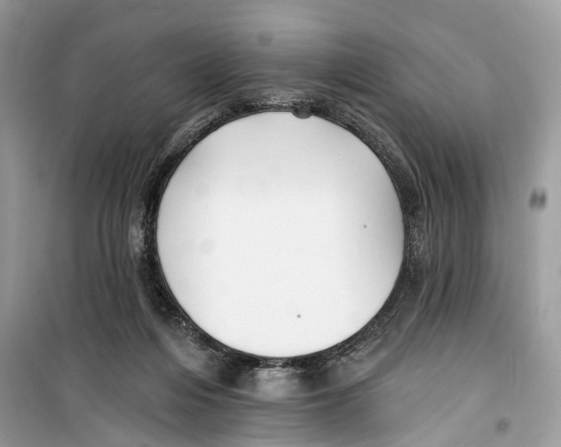 X0000099320216200805231432