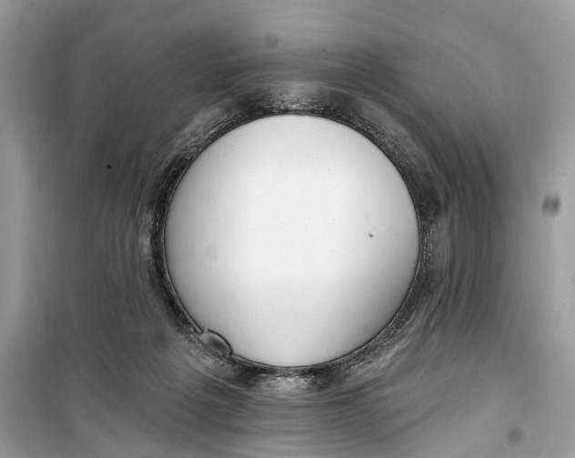 X0000099320217200805231432