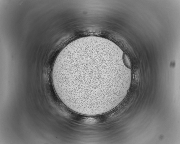 X0000099320218200805231432