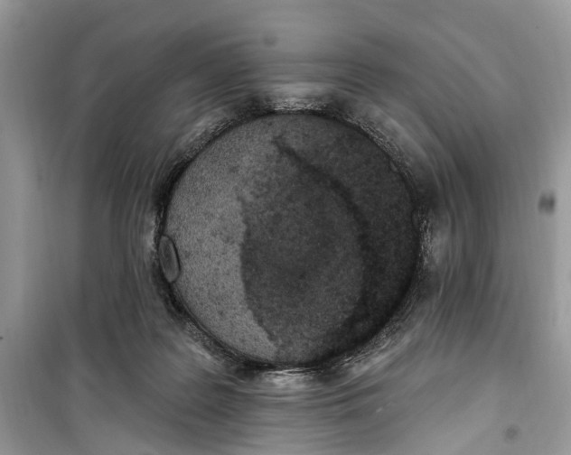 X0000099320219200805231432