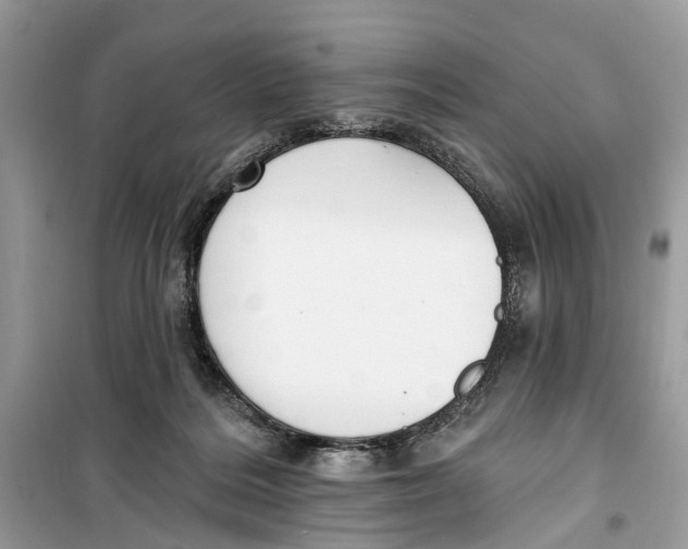 X0000099320220200805231432