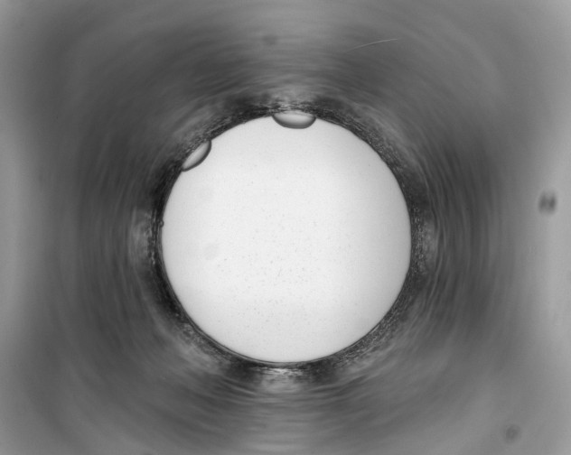 X0000099320222200805231432