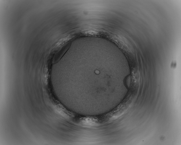 X0000099320223200805231432