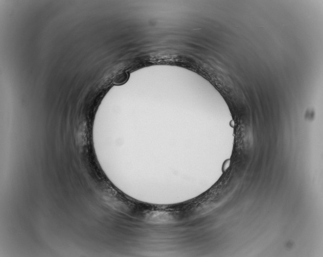 X0000099320224200805231432