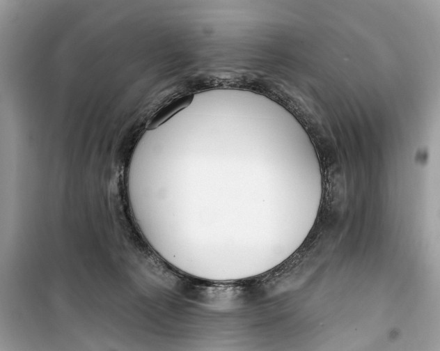 X0000099320225200805231432