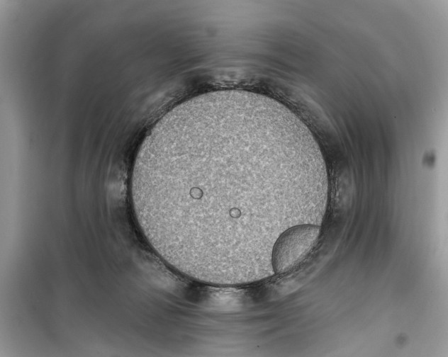 X0000099320226200805231432