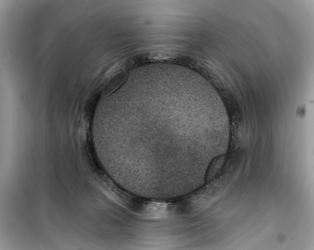 X0000099320227200805231432