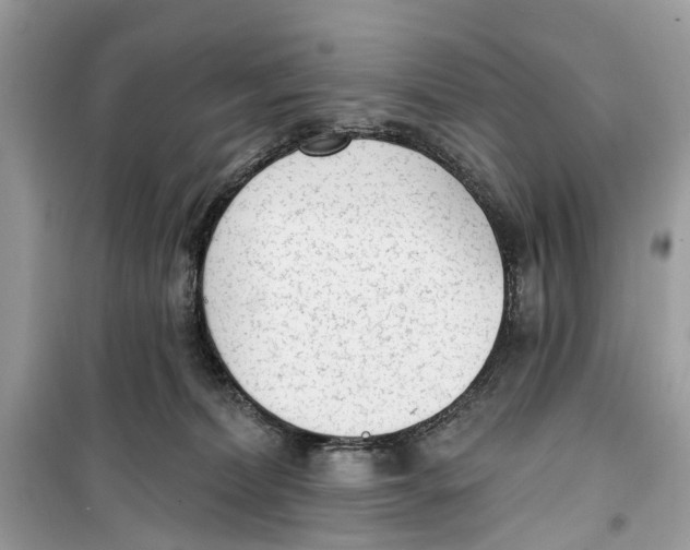 X0000099320228200805231432