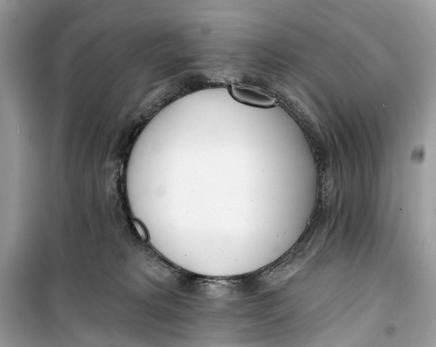 X0000099320229200805231432