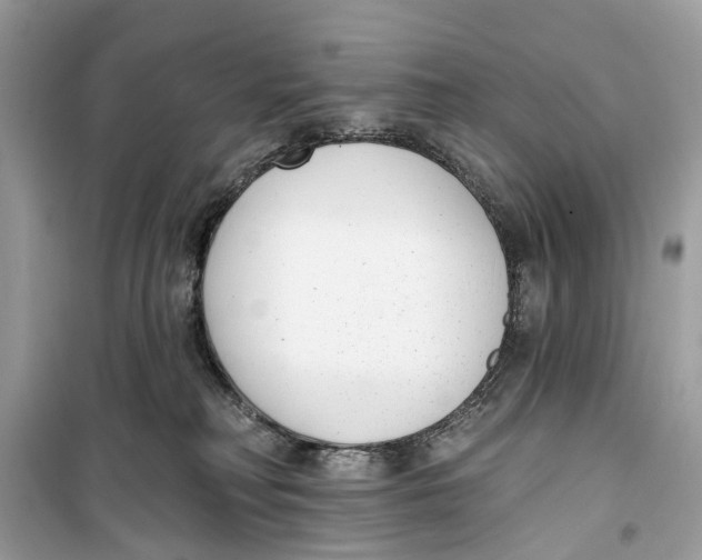 X0000099320230200805231432