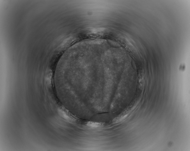 X0000099320231200805231432