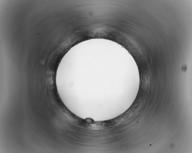 X0000099320232200805231432