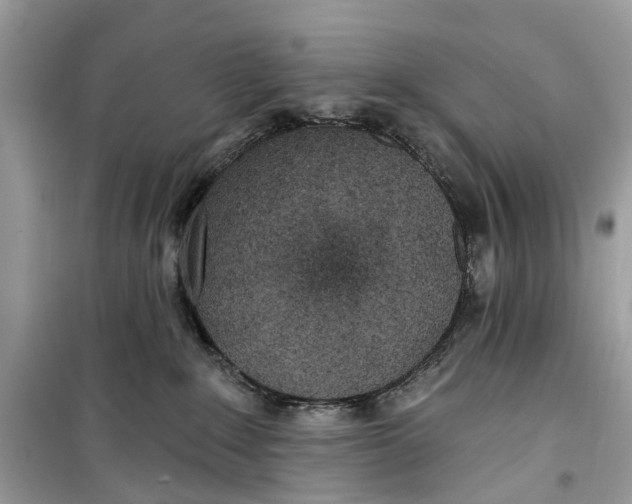 X0000099320235200805231432