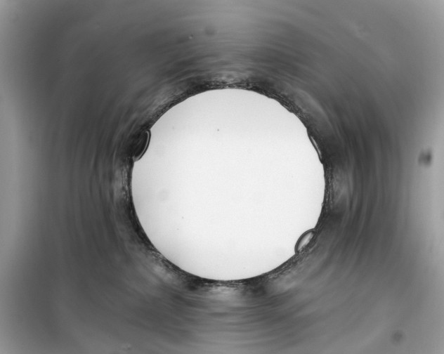 X0000099320236200805231432