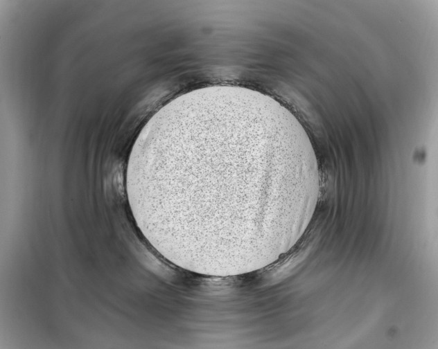 X0000099320238200805231432