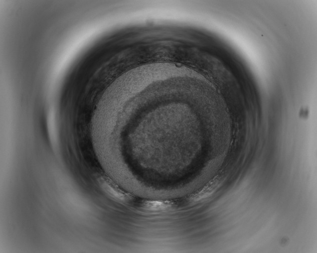 X0000099320239200805231432