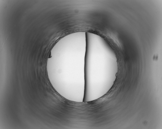 X0000099320240200805231432