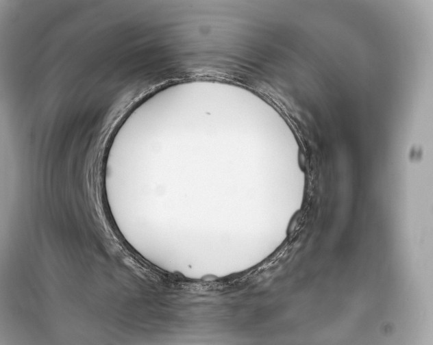 X0000099320241200805231431