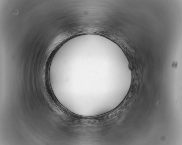 X0000099320242200805231431