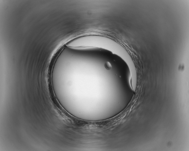 X0000099320244200805231431