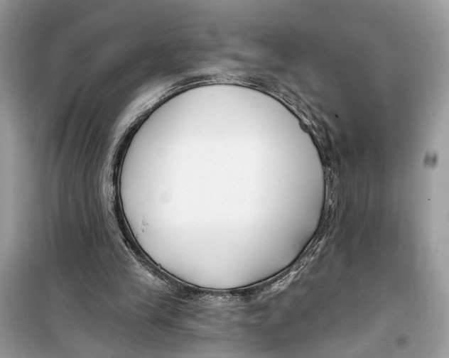 X0000099320245200805231431