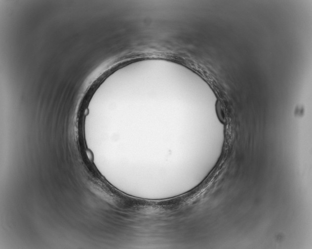 X0000099320246200805231431