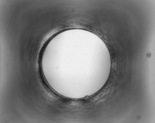 X0000099320248200805231431