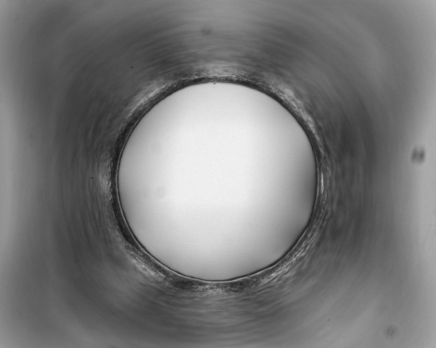 X0000099320249200805231431