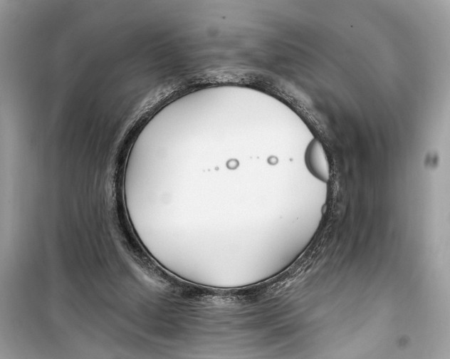 X0000099320250200805231431