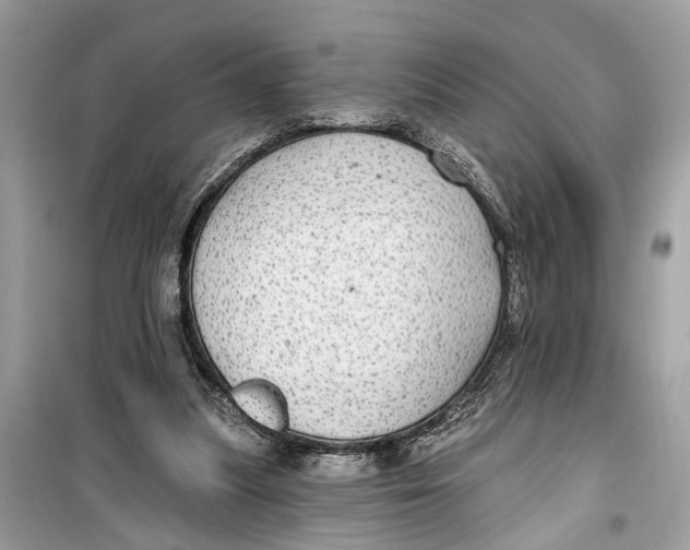 X0000099320251200805231431