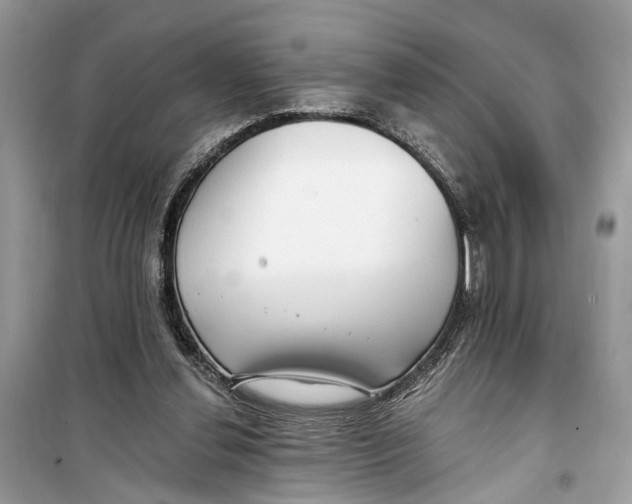 X0000099320252200805231431