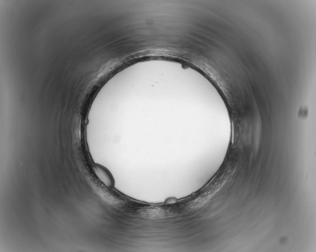 X0000099320253200805231431