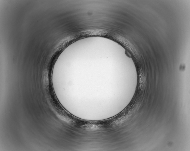 X0000099320254200805231431