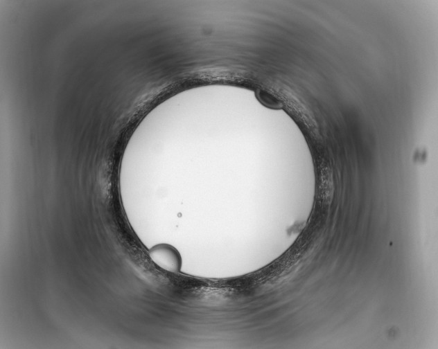 X0000099320255200805231431