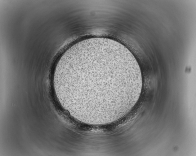 X0000099320256200805231431