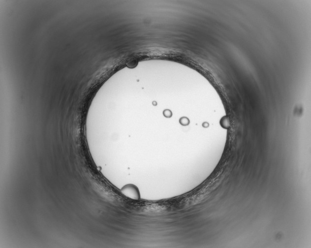 X0000099320257200805231431