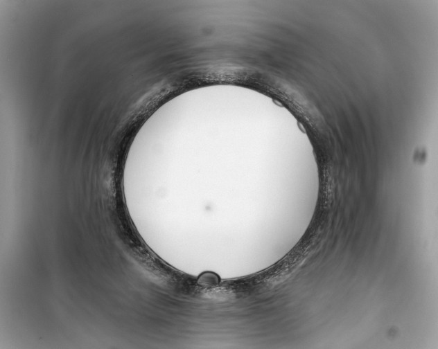 X0000099320258200805231431