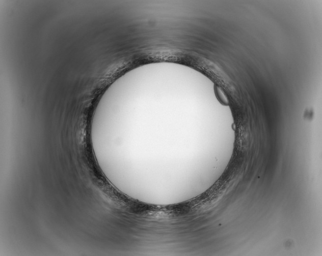 X0000099320259200805231431