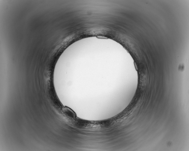 X0000099320260200805231431