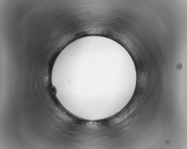 X0000099320261200805231431