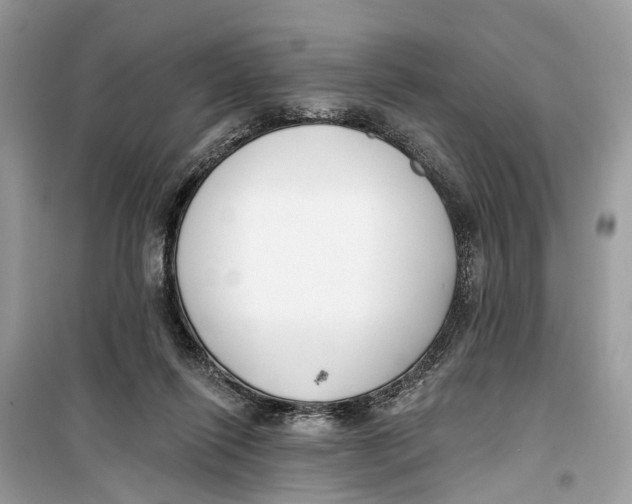 X0000099320262200805231431