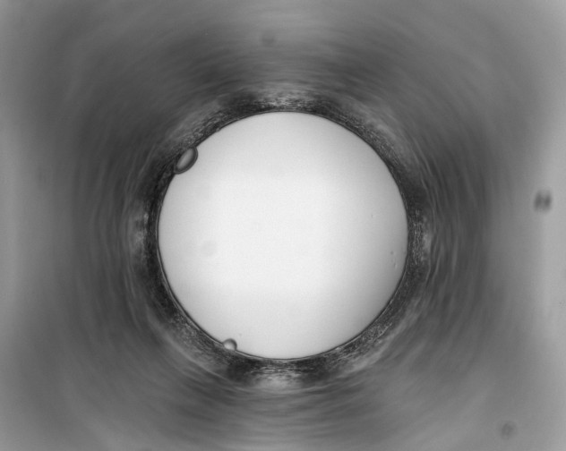 X0000099320263200805231431